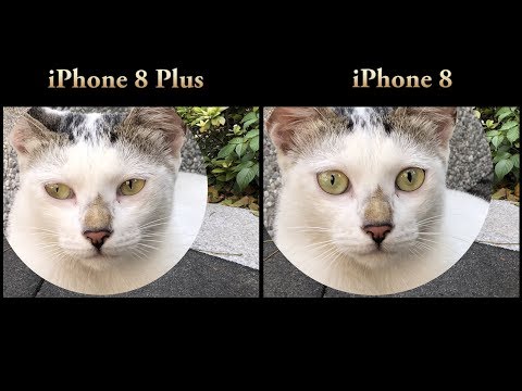 iphone 8 vs 8 plus